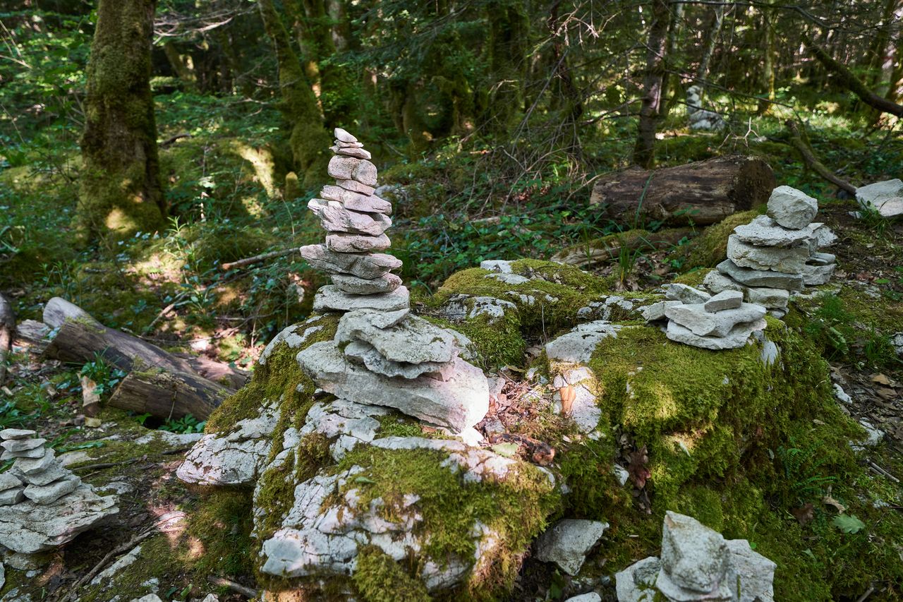 Sentier karstique des Malrochers à Besain, près de Poligny 05